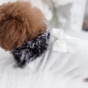 High Society Dog Sweater | Lovely Paws Pet Collection