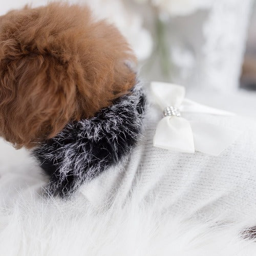 High Society Dog Sweater | Lovely Paws Pet Collection